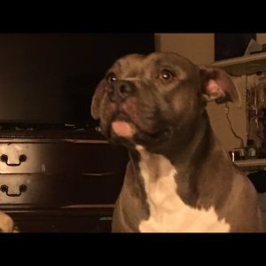 Meet your Posher, Patrick